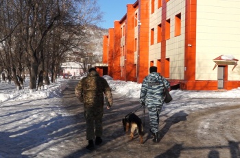 В трех школах города приостановлен учебный процесс