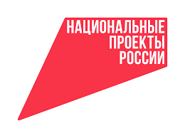 Пять новых национальных проектов запустят на Камчатке