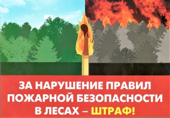 Вниманию горожан: увеличены штрафы за нарушение правил пожарной безопасности