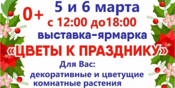 Выставка «Цветы к празднику» готовится в краевой столице