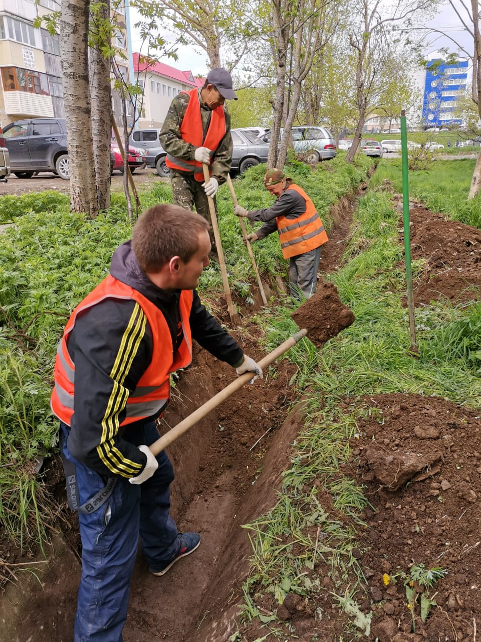 Вторник, 9 июня: Выполняем работы по летнему содержанию городских дорог и территорий