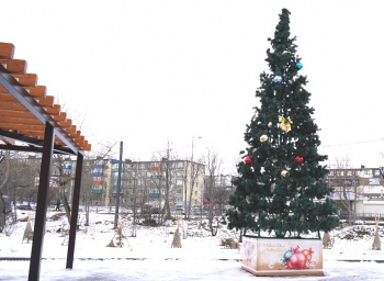 В микрорайонах Петропавловска-Камчатского устанавливают новогодние елки