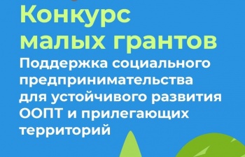 Горожанам предлагают стать участниками конкурса на получение малых грантов