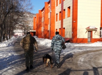 В городе проведена эвакуация из школ в связи с анонимными сообщениями о минировании 