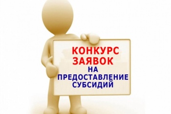 Стартовал региональный конкурс на предоставление субсидий НКО из краевого бюджета